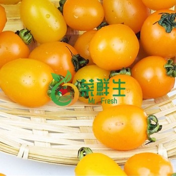 黃聖女果500g