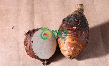 芋頭500g