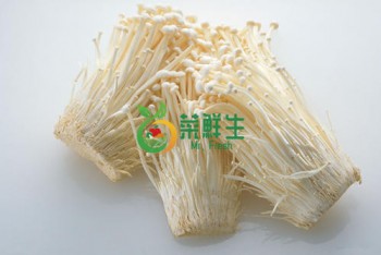 金針菇1包